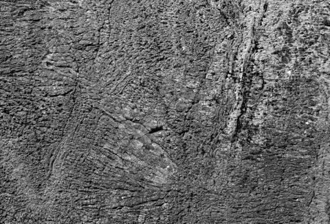 Black stone texture background Foto stock