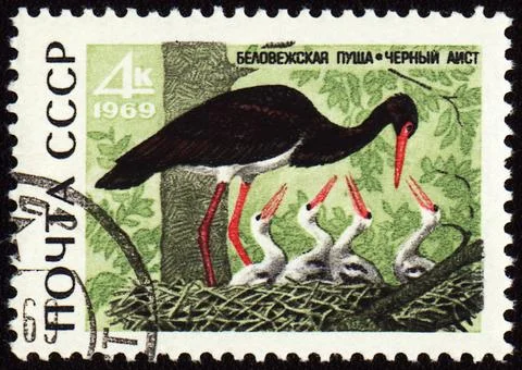 Black stork on post stamp Stock Photos
