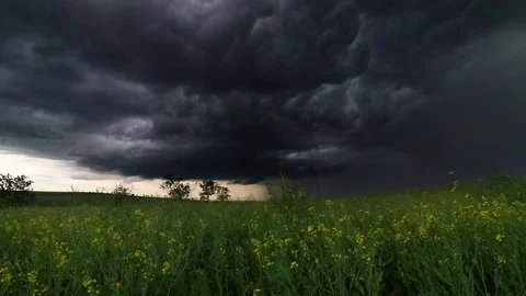 Black stormy clouds over a summer meadow sound Stock Footage 77061359