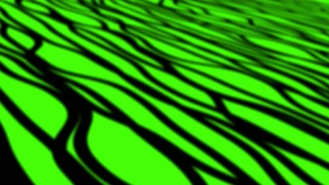 Black stripes change shape on a green background Stock Footage 147980942