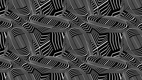 Black stripes. Stock Footage 274156397