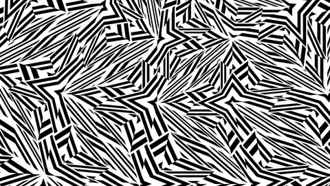 Black stripes. Stock Footage 274784334