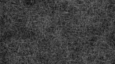 Black stripes. Stock Footage 274924960