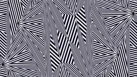 Black stripes. Stock Footage 276205648