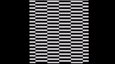 Black stripes. Stock Footage 276206464