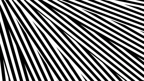 Black stripes. Stock Footage 301239018