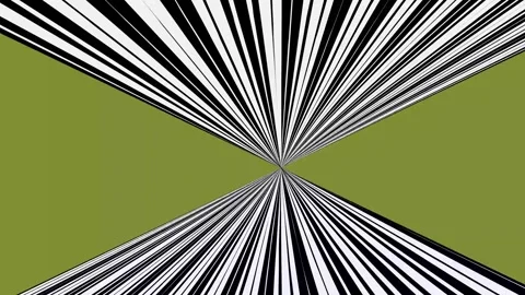Black stripes. Stock Footage 308412220