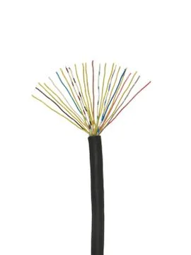 Black stripped cable with multicolored electrical wires isolated on white bac Stock Photos