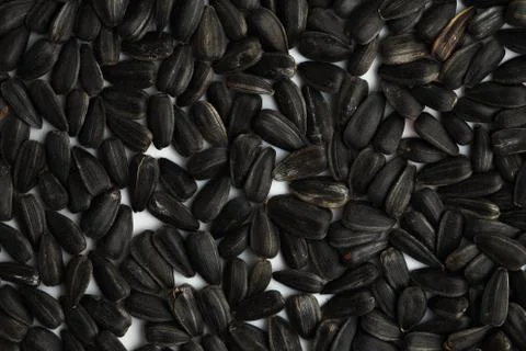 Black sunfloewr seeds close-up. Background 스톡 사진