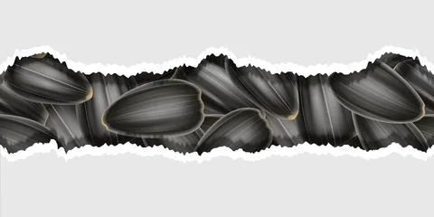 Black sunflower seeds seamless pattern, torn packaging effect, web design c.. Stock Illustration