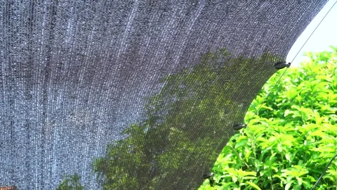 Black Sunshade Net Swaying in the Wind Above a Backyard Stockbeeldmateriaal 341677243