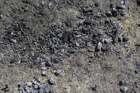 Black surface of the rural field with a burned grass. Stock Photos