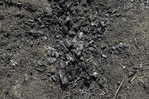 Black surface of the rural field with a burned grass. Stock Photos