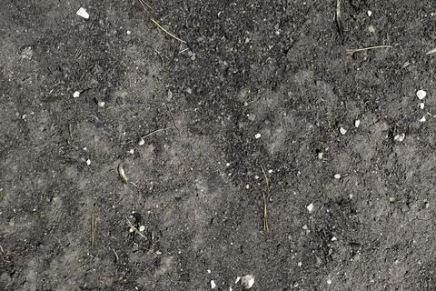 Black surface of the rural field with a burned grass. Stock Photos