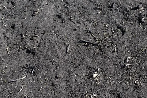 Black surface of the rural field with a burned grass. Stock Photos