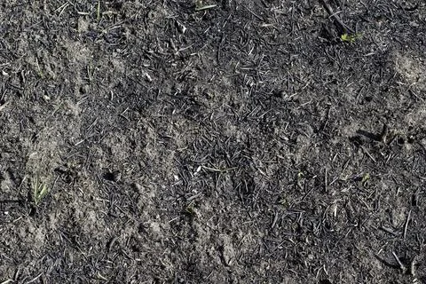 Black surface of the rural field with a burned grass. Stock Photos