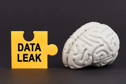 On a black surface there is a brain and a yellow puzzle with the inscription  Stock Photos