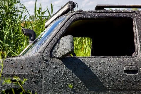 Black SUV covered withlayer of swamp dirty car stuck in reeds of lake. Stock Photos