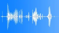 Black Swan CU CallsSound Effect