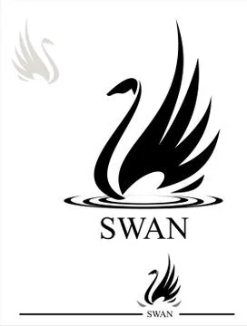 Black Swan Stock Illustration