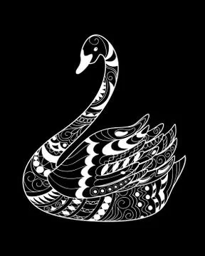 Black swan Stock Illustration