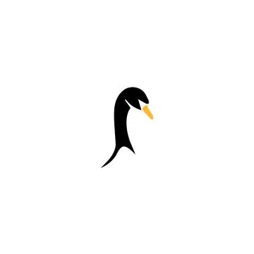 Black swan Stock Illustration
