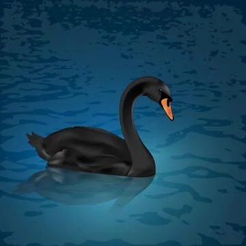 Black swan on the lake Stock Illustration