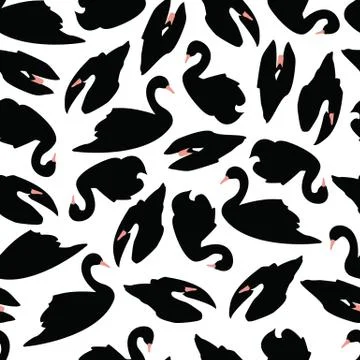 Black swan seamless pattern on white background, vector illustration 스톡 일러스트