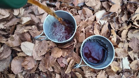Black tea being poured into cup on the ground. Stock Footage 311654962