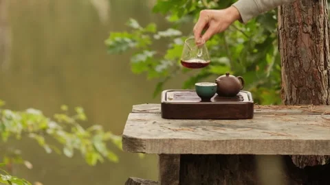 Black Tea Being Poured Into Tea Ware on Tea Tray Outdoors by Lake Video stock 295279413