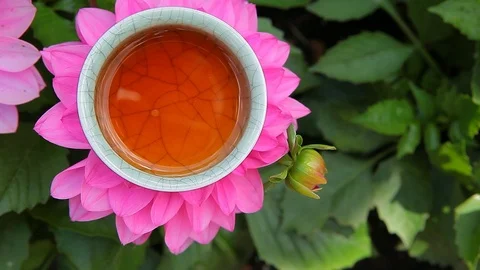 Black tea cup flower background nobody hd footage Stock Footage 108611577