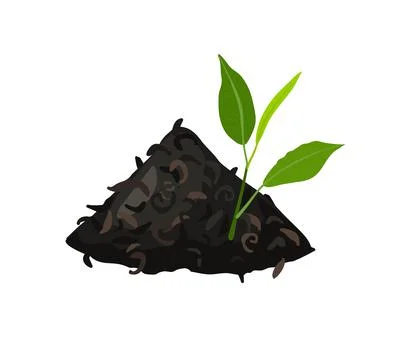 Black Tea. Dry black tea leaves Slide for cooking hot drink and green fresh Illustrazione stock