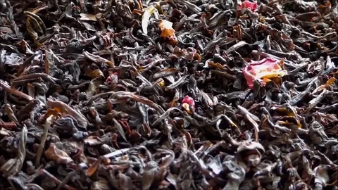 Black tea with dry raspberry leaves - slow rotation, closeup view Stock Footage 74985216