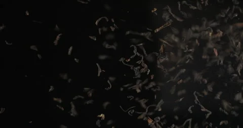 Black tea falling from below, slowmotion low angle 4K pro res Stock-Footage 275898262