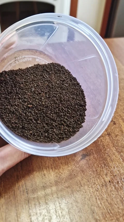 Black Tea Granules in Plastic Container Top View Stock Footage 323512616