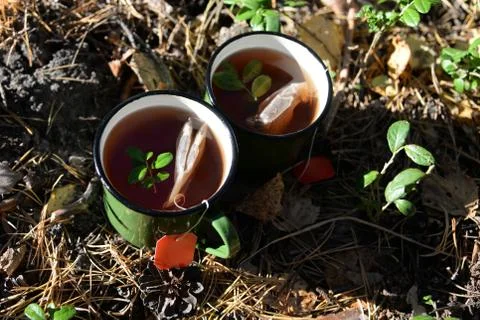Black tea with herbs Stock Photos