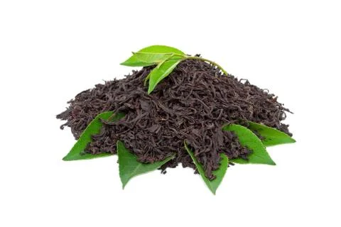 Black tea with leafs Stock Photos