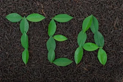 Black tea with leafs Stock Photos