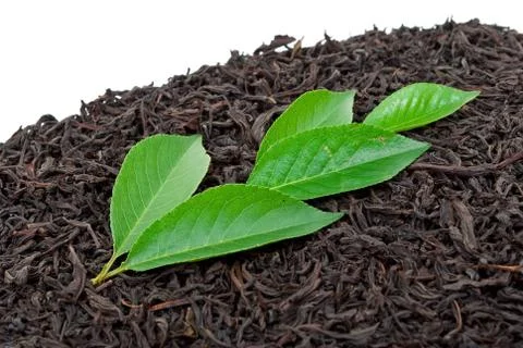 Black tea with leafs Stock Photos