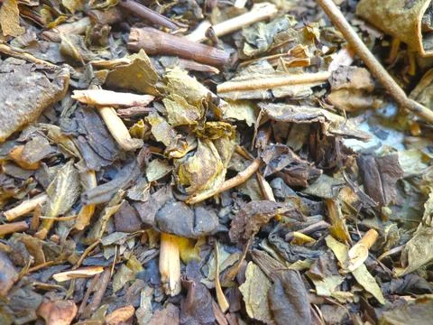 Black tea leaves Stock Photos