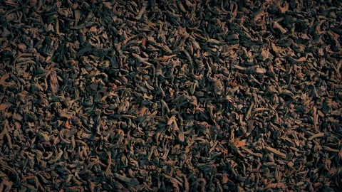 Black Tea Texture Rotating Background Stock Footage 339099733
