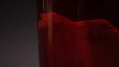 Black tea in a transparent glass is on the table, black tea Stock Footage 75478593