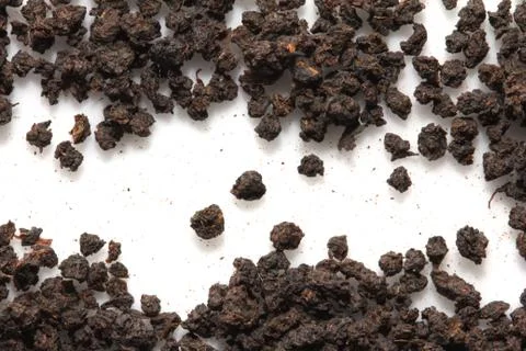 Black tea on a white background. macro Stock Photos