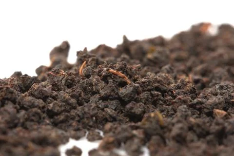 Black tea on a white background. macro Stock Photos