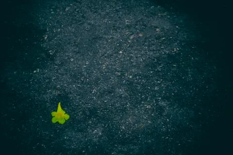 Black texture background with dark black border Stock Photos