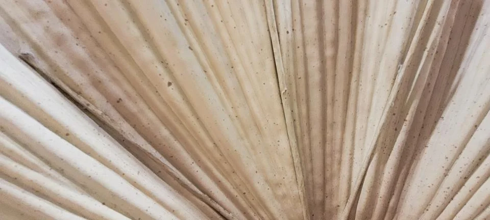 Black texture background with rustic shapes Stock Photos