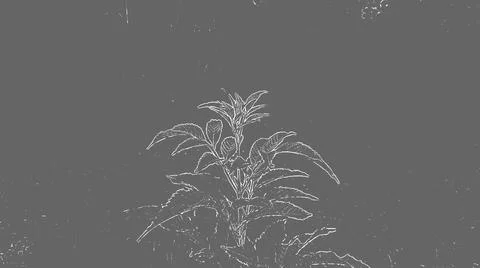 Black texture with graphic streaks for backgrounds or other design illustrati Stock Illustration