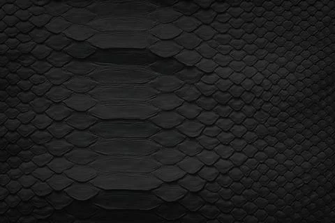 Black texture of python skin, leather background with natural pattern of scal Stock Photos