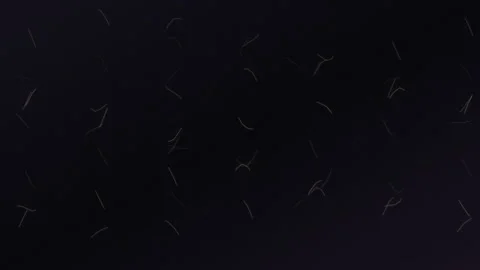 Black textured background with subtle patterns in a dark setting Stock Footage 337233896