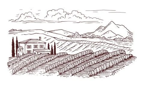 Black thin line engraved vineyard rural landscape, vector illustration isolated. Stock Illustration
